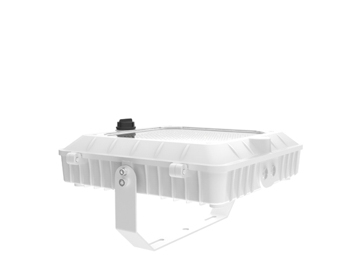 comprar 120-277V 50/60Hz Voltado de entrada luz de dosel LED con resistencia a los impactos IK 07 en color blanco fabricación en línea