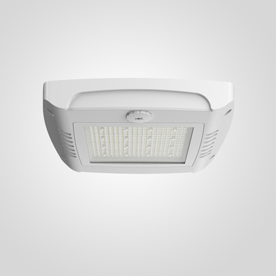 Luzes de dosel de aluminio IP66 para gasolineras para zonas de bajas profundidades